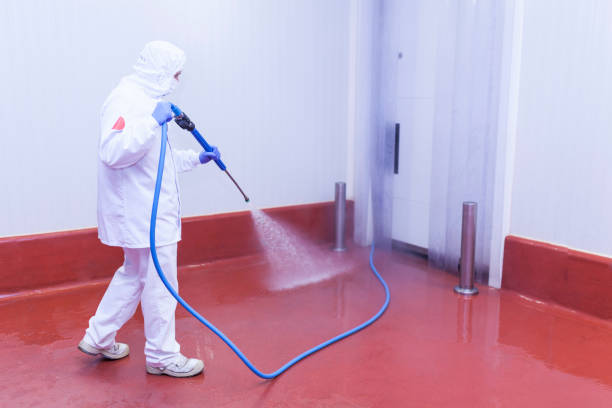 Best Solar Panel Cleaning  in Robertsville, NJ